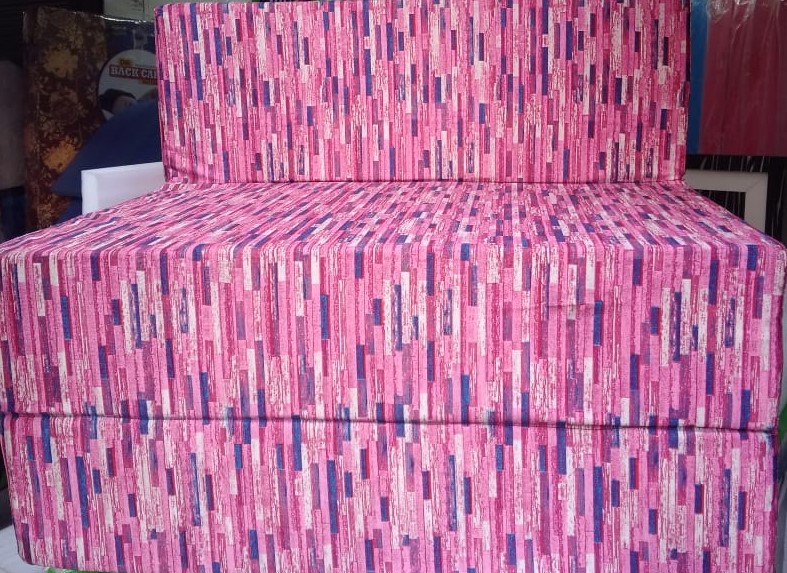 Sofa Cum Bed With PInk Printred  3x6