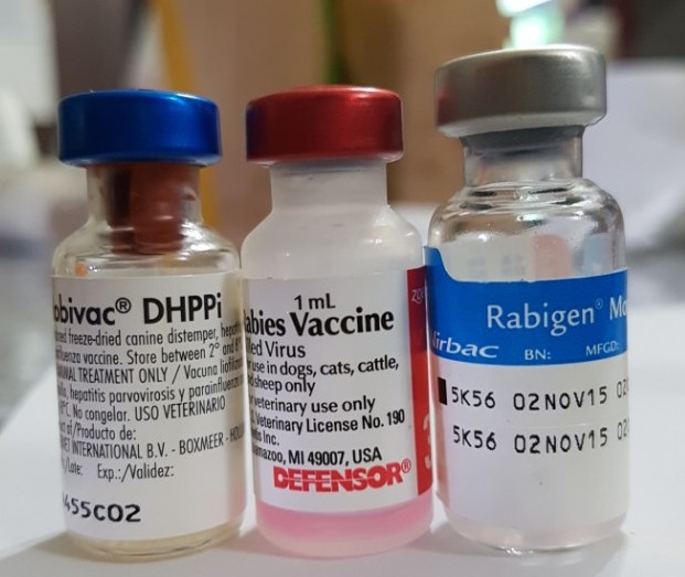 Rabigen Vaccine