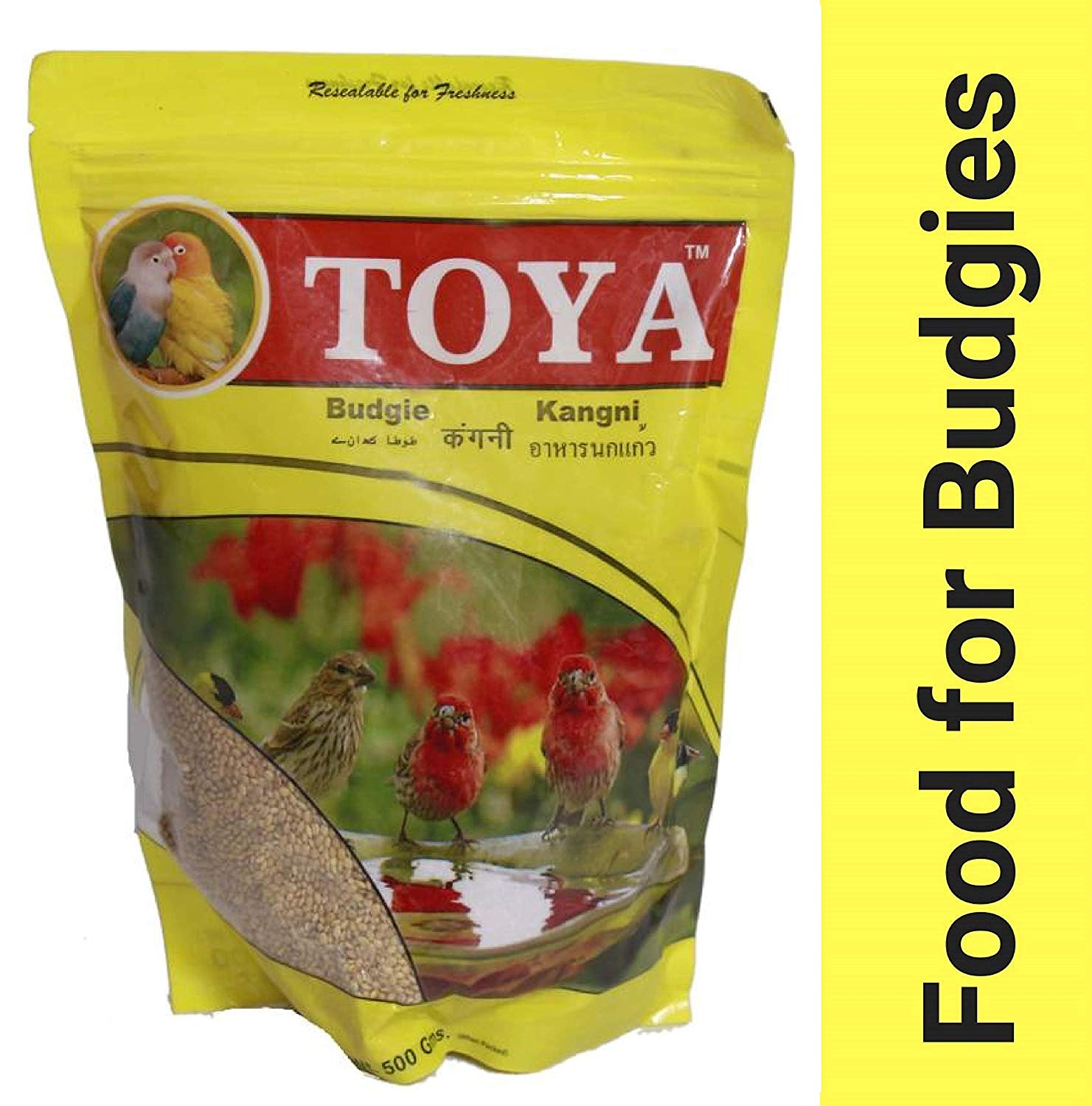 Toya Budgie Kangni Bird Food 500gm